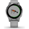 Часы GARMIN VIVOACTIVE 4S POWDER GRAY/SILVER 10488