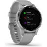 Часы GARMIN VIVOACTIVE 4S POWDER GRAY/SILVER 10488
